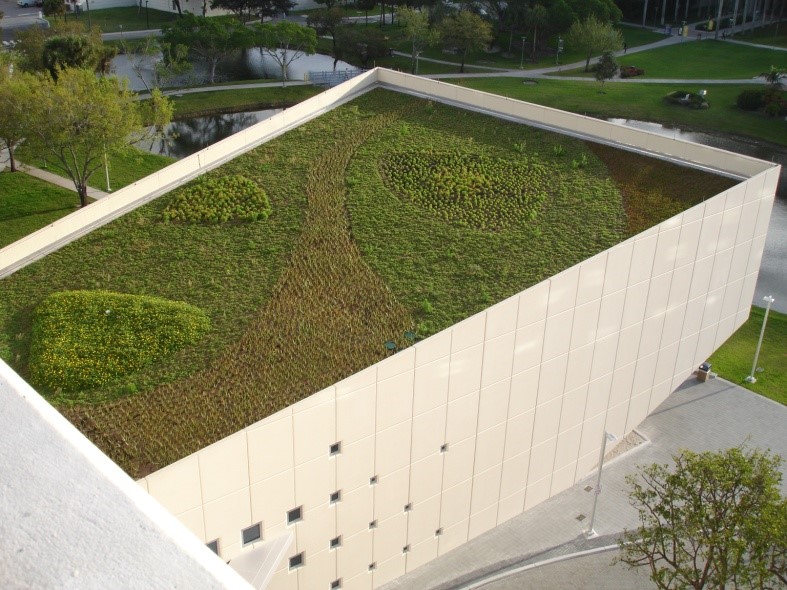 Architects International